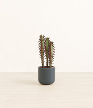 Lade das Bild in den Galerie-Viewer, Iron Gray*****Profile
