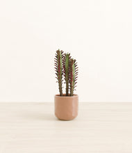 Lade das Bild in den Galerie-Viewer, Hammered Peach Pink*****Profile
