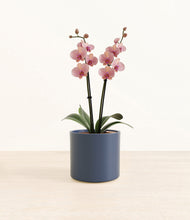 Load image into Gallery viewer, Deep Navy*****Profile
