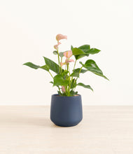 Load image into Gallery viewer, Deep Navy*****Profile
