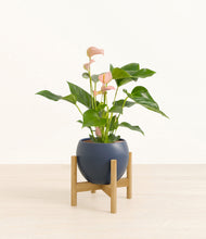 Load image into Gallery viewer, Deep Navy stand:bamboo
