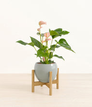 Load image into Gallery viewer, Deep Ocean stand:bamboo
