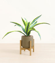 Lade das Bild in den Galerie-Viewer, Olive stand:bamboo
