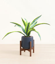 Lade das Bild in den Galerie-Viewer, Deep Navy stand:walnut
