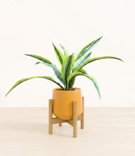 Lade das Bild in den Galerie-Viewer, Mustard stand:bamboo
