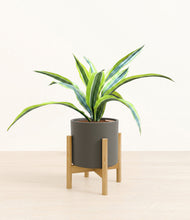 Lade das Bild in den Galerie-Viewer, Dark Olive stand:bamboo
