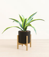 Lade das Bild in den Galerie-Viewer, Black stand:bamboo
