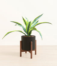 Lade das Bild in den Galerie-Viewer, Black stand:walnut

