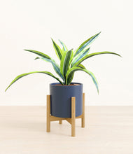 Lade das Bild in den Galerie-Viewer, Deep Navy stand:bamboo
