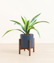 Lade das Bild in den Galerie-Viewer, Deep Navy stand:walnut
