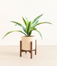 Lade das Bild in den Galerie-Viewer, Cream stand:walnut
