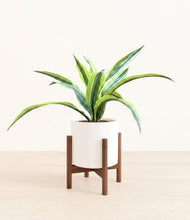 Lade das Bild in den Galerie-Viewer, White stand:walnut
