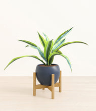 Lade das Bild in den Galerie-Viewer, Deep Navy stand:bamboo
