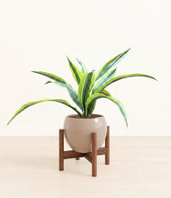 Lade das Bild in den Galerie-Viewer, Desert Brown stand:walnut
