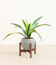 Lade das Bild in den Galerie-Viewer, Deep Ocean stand:walnut
