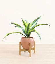 Lade das Bild in den Galerie-Viewer, Calm Rose stand:bamboo
