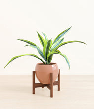 Lade das Bild in den Galerie-Viewer, Calm Rose stand:walnut
