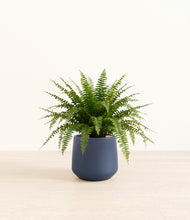 Load image into Gallery viewer, Deep Navy*****Profile
