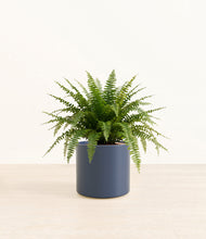 Load image into Gallery viewer, Deep Navy*****Profile

