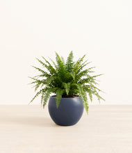 Load image into Gallery viewer, Deep Navy*****Profile
