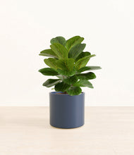 Load image into Gallery viewer, Deep Navy*****Profile

