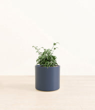 Load image into Gallery viewer, Deep Navy*****Profile

