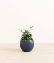 Load image into Gallery viewer, Deep Navy*****Profile
