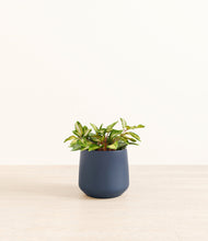 Load image into Gallery viewer, Deep Navy*****Profile

