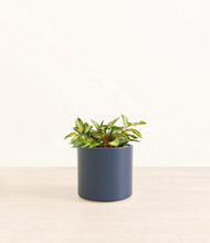 Load image into Gallery viewer, Deep Navy*****Profile
