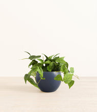 Load image into Gallery viewer, Deep Navy*****Profile
