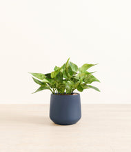 Load image into Gallery viewer, Deep Navy*****Profile
