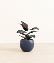 Load image into Gallery viewer, Deep Navy*****Profile
