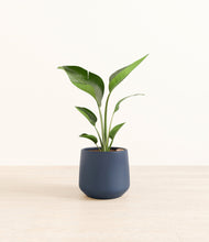 Load image into Gallery viewer, Deep Navy*****Profile
