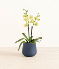 Load image into Gallery viewer, Deep Navy*****Profile
