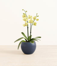 Load image into Gallery viewer, Deep Navy*****Profile
