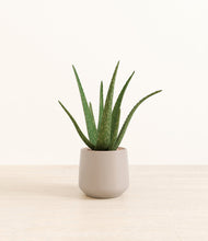 Load image into Gallery viewer, Eternal Gray*****Profile
