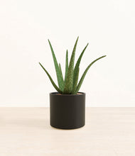 Load image into Gallery viewer, Black*****Profile
