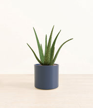 Load image into Gallery viewer, Deep Navy*****Profile
