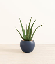 Load image into Gallery viewer, Deep Navy*****Profile
