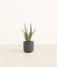 Load image into Gallery viewer, Iron Gray*****Profile
