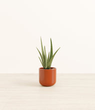 Load image into Gallery viewer, Glossy Red*****Profile
