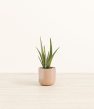 Load image into Gallery viewer, Glossy Pink*****Profile
