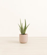 Load image into Gallery viewer, Sandy Pink*****Profile
