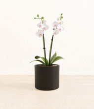 Load image into Gallery viewer, Black*****Profile
