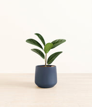 Load image into Gallery viewer, Deep Navy*****Profile
