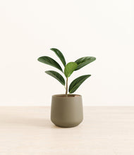 Load image into Gallery viewer, Olive*****Profile

