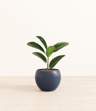 Load image into Gallery viewer, Deep Navy*****Profile
