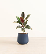Load image into Gallery viewer, Deep Navy*****Profile
