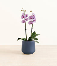 Load image into Gallery viewer, Deep Navy*****Profile
