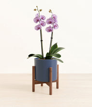 Load image into Gallery viewer, Deep Navy stand:bamboo
